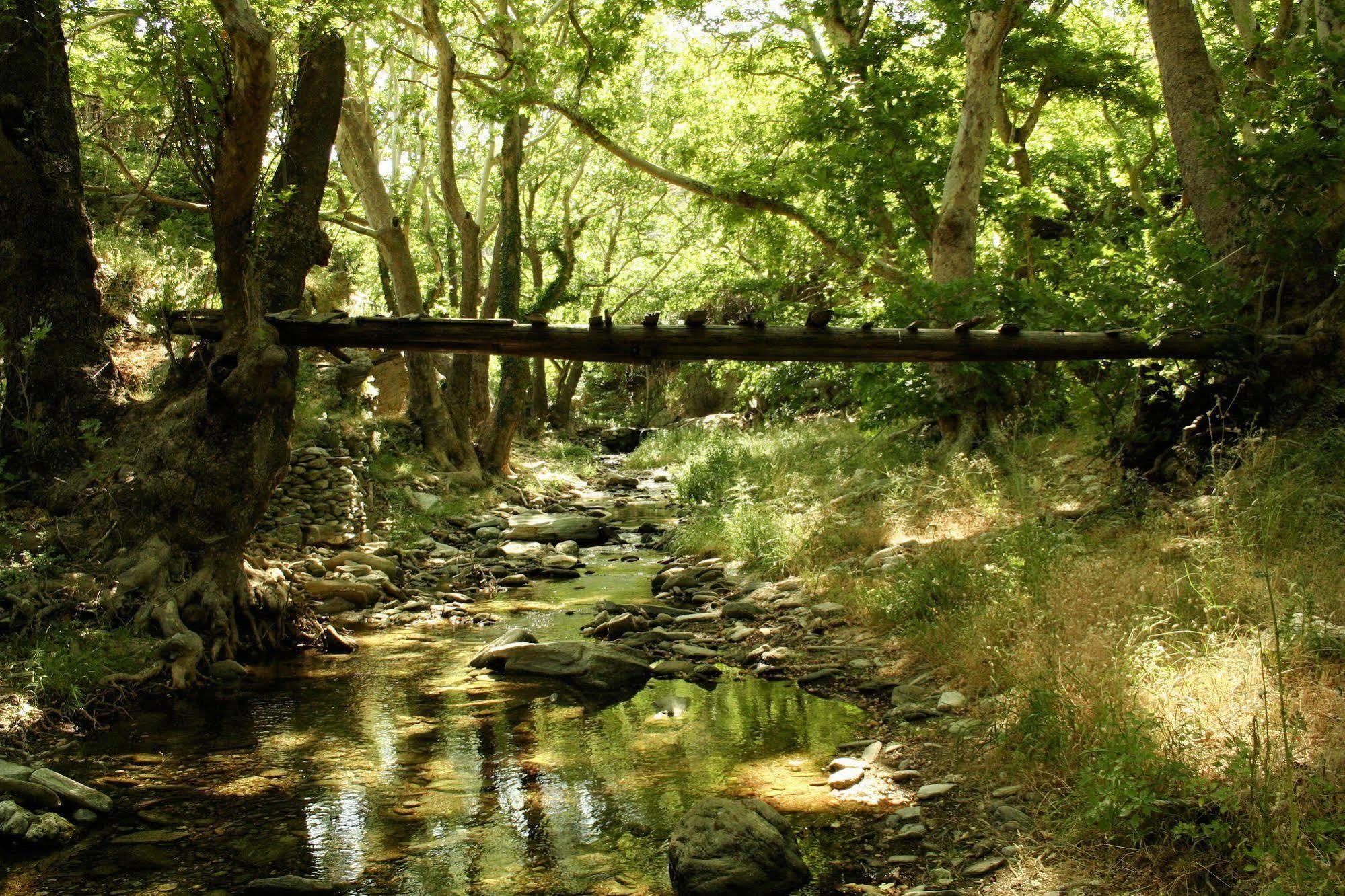 Onar Andros Achla Exterior foto